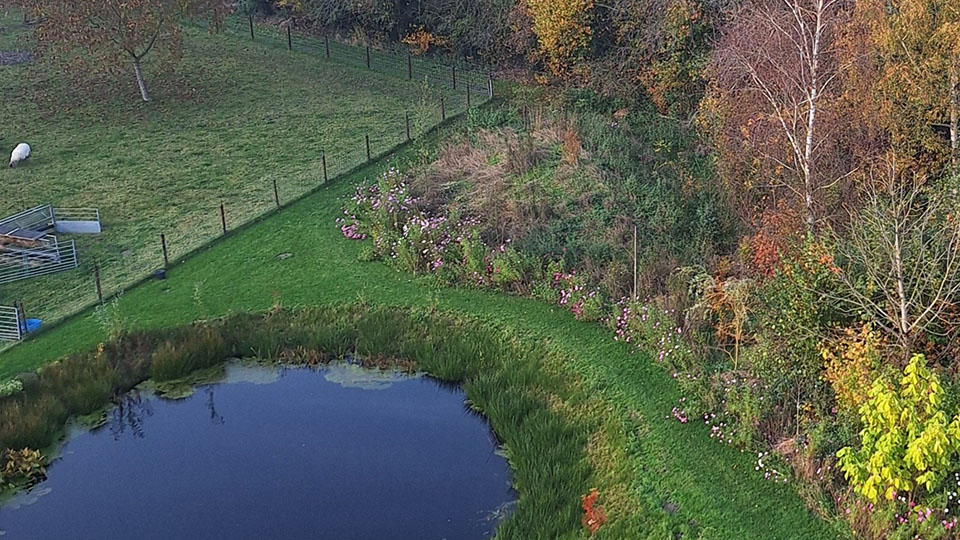 Landschapsverzorging